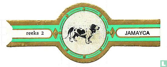 Artesian dachshund  - Image 1