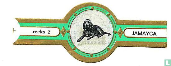 St. Hubertus dog - Image 1