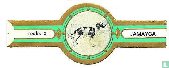 Gascognic hunting dog  - Image 1