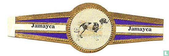 Gascognic Jagdhund - Bild 1