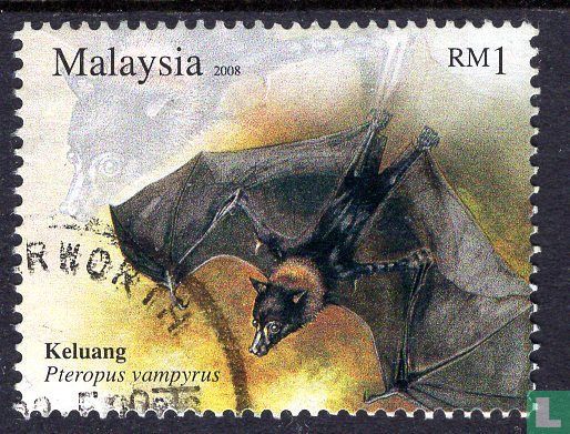 Fledermaus