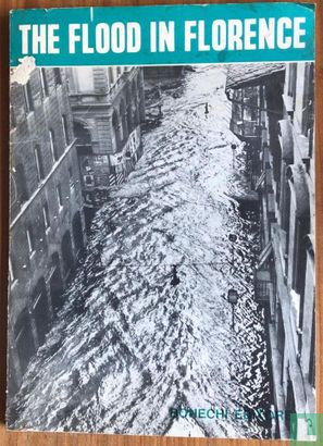 The flood in Florence - Bild 1