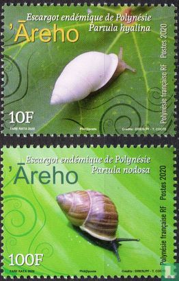 Endemic snail of Polynesia
