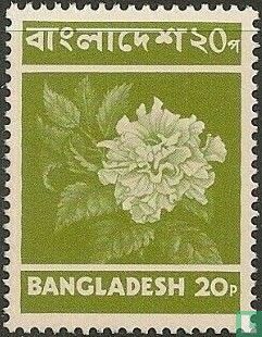 Bilder von Bangladesch - Bild 1