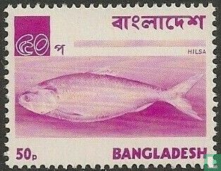 Beelden van Bangladesh  - Afbeelding 1