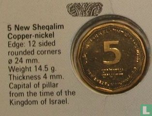 Israël 5 nouveaux sheqalim 1991 (JE5751 - PIEFORT) "Israel anniversary" - Image 3
