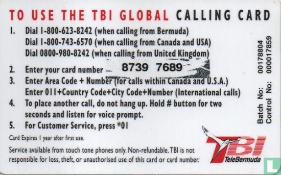 TBI Global Calling Card - Birds - Image 2