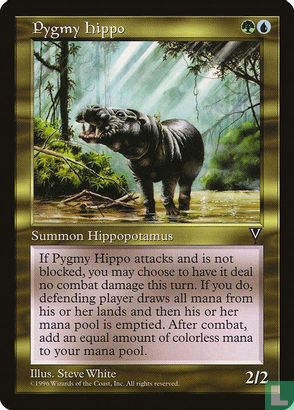 Pygmy Hippo - Bild 1