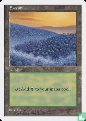 Forest - Image 1