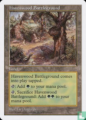 Havenwood Battleground - Bild 1