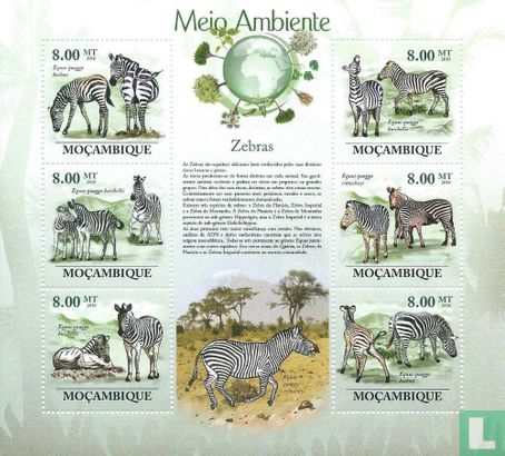 Umweltschutz - Zebras