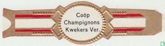 Coöp Champignons Kwekers Ver. - Bild 1