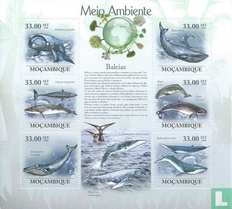 Protection de l'environnement - Baleines