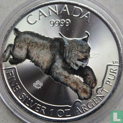 Canada 5 dollars 2017 (coloured) "Lynx" - Image 2