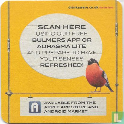 Bulmers Virtually Try Before You Buy! - Image 2