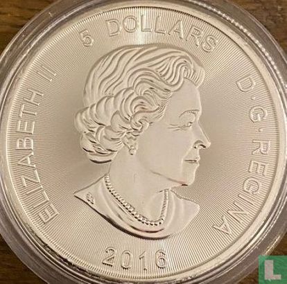 Canada 5 dollars 2016 (coloured) "Cougar" - Image 1