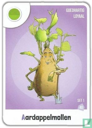 Aardappelmollen - Image 1