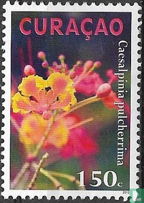 Planten van Curacao