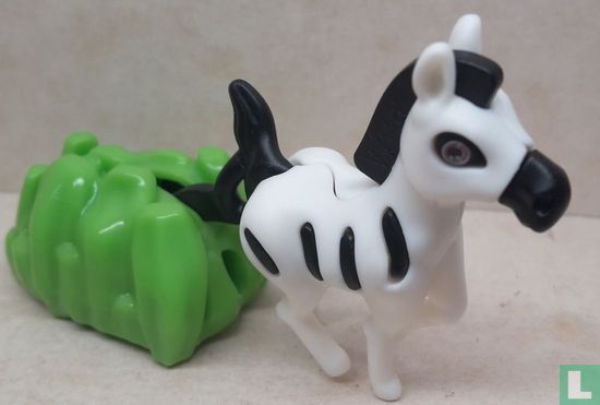 Zebra - Bild 1