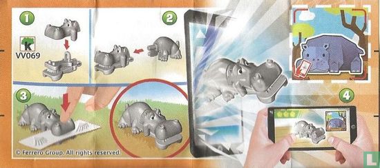 Nijlpaard - Afbeelding 3