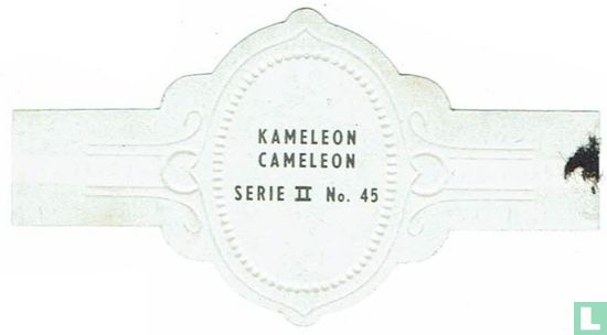 Kameleon - Image 2