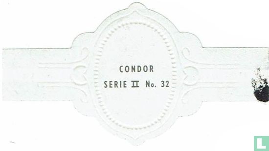 Condor - Afbeelding 2
