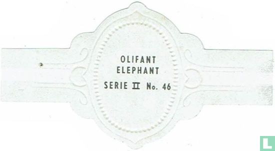 Olifant - Image 2