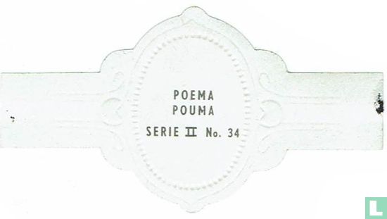 Poema - Image 2