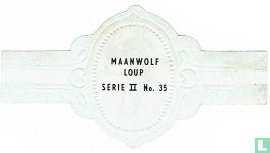 Maanwolf - Afbeelding 2