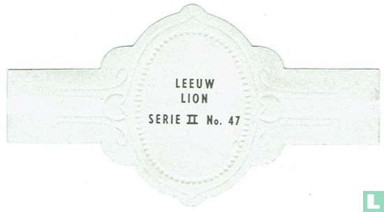 Leeuw - Afbeelding 2