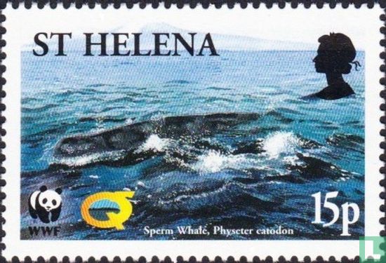 2002 whales