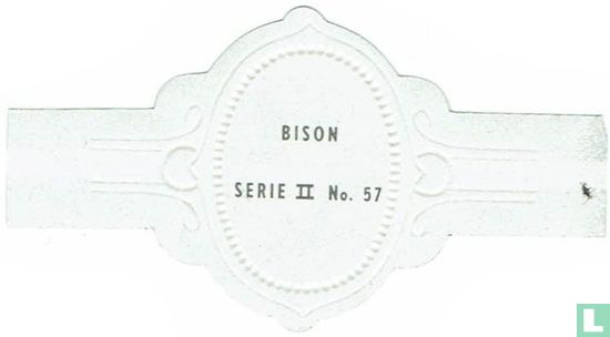 Bison - Image 2