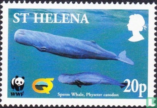 2002 walvissen