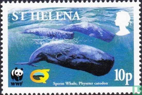 2002 whales