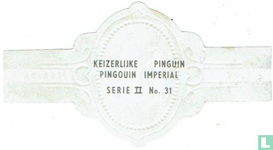 Keizer Pinguin - Image 2