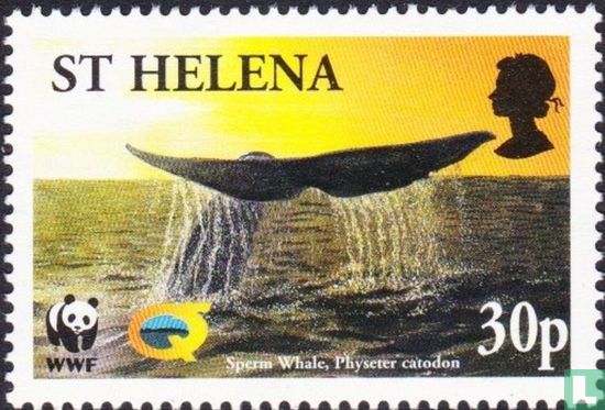 2002 baleines