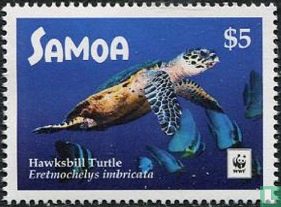 Meeresschildkröten