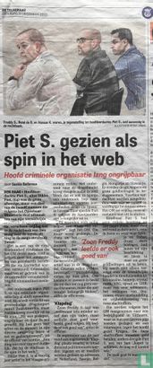 Piet S. gezien als spin het web - Afbeelding 2