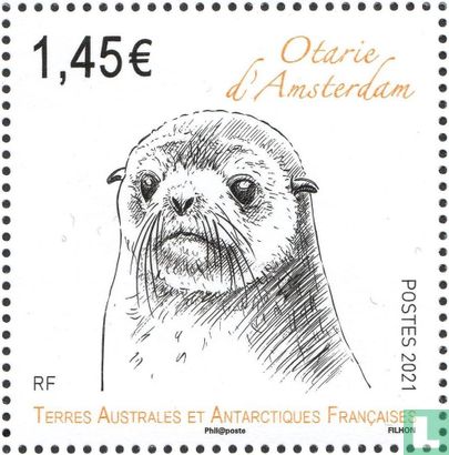 Amsterdamse zeeleeuw
