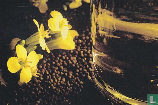 Canola - Afbeelding 1