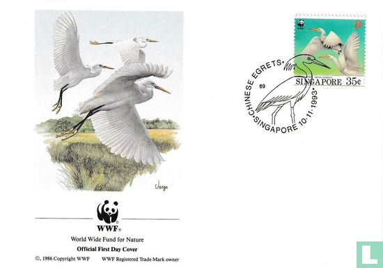 Chinese egret