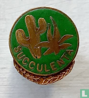 Succulenta - Image 1