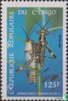 Heuschrecke