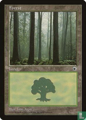 Forest - Image 1