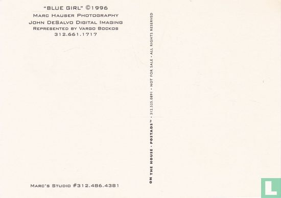 Marc Hauser / John DeSalvo 'Blue Girl' - Image 2