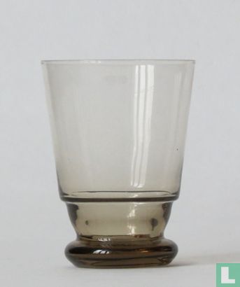 Aster waterglas fumi - Image 1