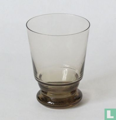 Aster waterglas fumi - Image 2