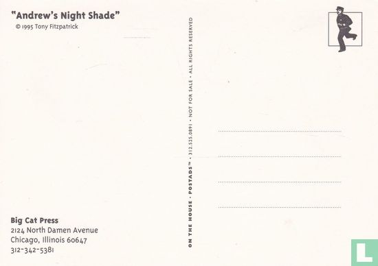 Tony Fitzpatrick 'Andrew's Night Shade' - Afbeelding 2