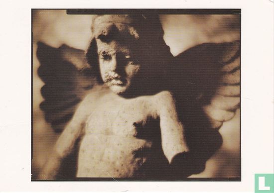 Paul Elledge 'Terra Cotta Angel' - Image 1