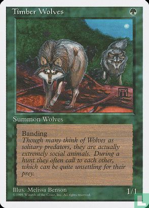 Timber Wolves - Bild 1